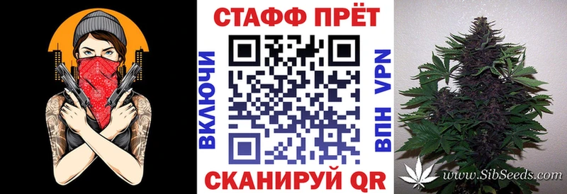 Где купить Няндома Cocaine Бошки Шишки СОЛЬ БУТИРАТ Меф Кодеин ГАШИШ