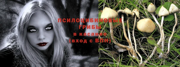 метамфетамин Гусев