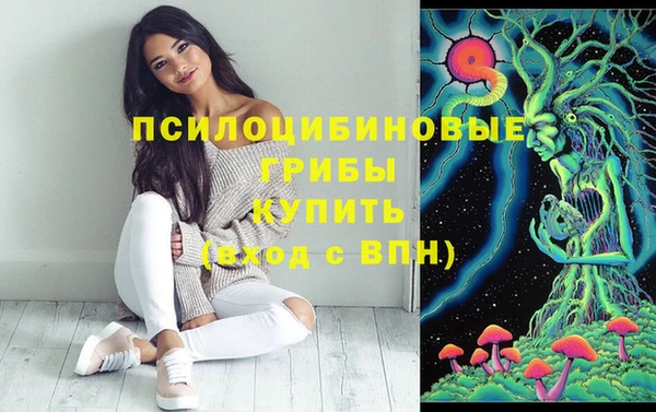молекула духа Гусь-Хрустальный